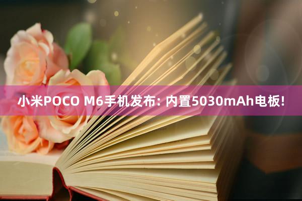 小米POCO M6手机发布: 内置5030mAh电板!