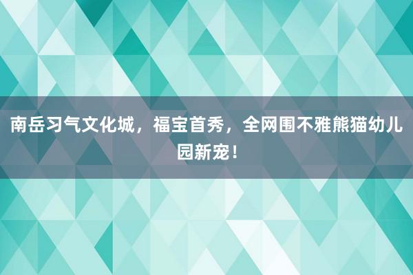 南岳习气文化城，福宝首秀，全网围不雅熊猫幼儿园新宠！