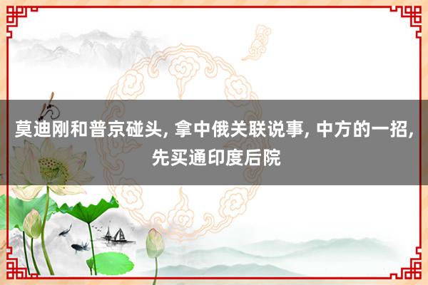 莫迪刚和普京碰头, 拿中俄关联说事, 中方的一招, 先买通印度后院