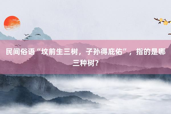 民间俗语“坟前生三树，子孙得庇佑”，指的是哪三种树？